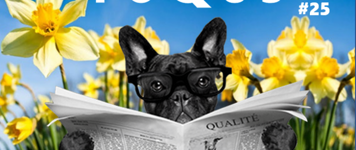 Newsletter foQus #25 Newsletter foQus #25