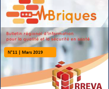 REEVA – Bulletin régional BRIQUES N° 11 REEVA – Bulletin régional BRIQUES N° 11
