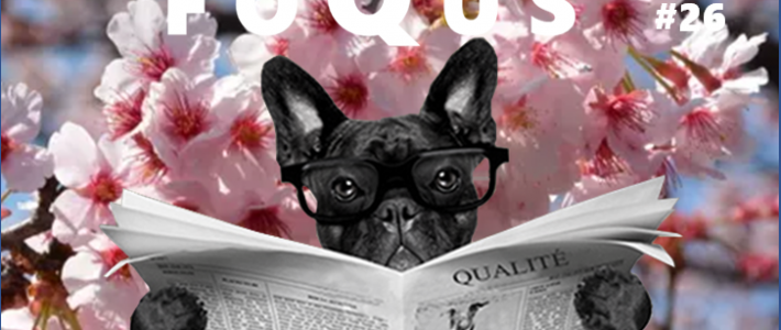 Newsletter foQus #26 Newsletter foQus #26