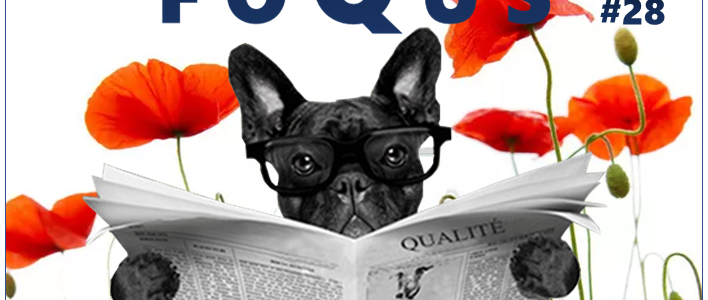 Newsletter foQus #28 Newsletter foQus #28
