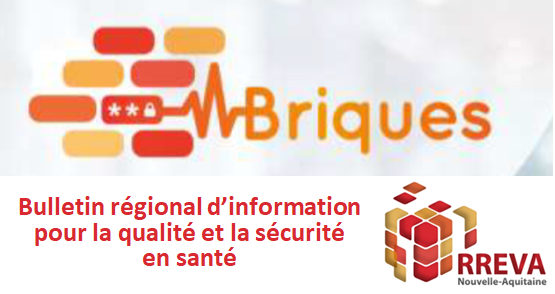 Bulletin BRIQUES N°13 – Qualité et sécurité en santé